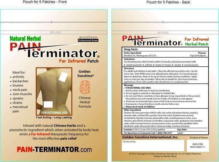 PAIN Terminator Analgesic